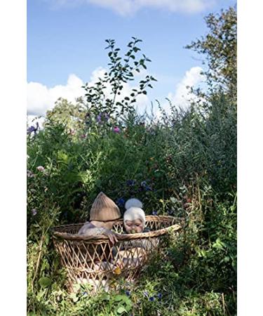 BIBS Couture Collection Pacifiers - Set of 2 Cloud Color | BPA-Free & Made in Denmark | Size 6-18 Months - Buy Online on GoSupps.com