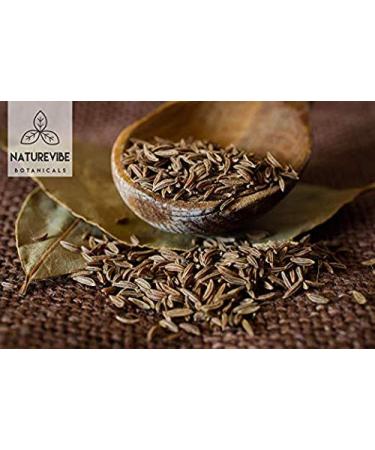 Naturevibe Botanicals Organic Caraway Seeds 1lb - Non-GMO, Gluten Free Indian Spice - Buy Online on GoSupps.com