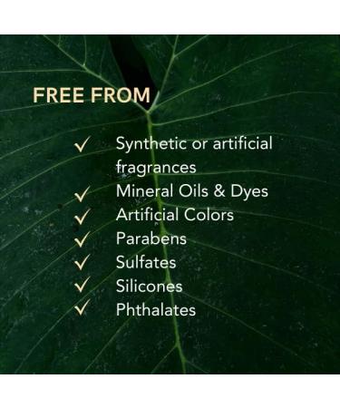 ASTE Ayurvedic Navel Oil for Belly Button Navel Oiling with Castor Ginger Shatavari & Neem | Vegan Belly Button Oil for Skin Nourishment Sleep & Wellness Ritual | (0.68 oz) - Buy Online on GoSupps.com