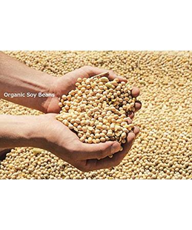 Hikari Organic Instant Miso Soup with Malted Rice Koji - 10 Meals Set | Healthful Reduced-salt Miso Soup with Chopsticks - Buy Online on GoSupps.com