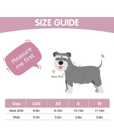 PUPTECK Bling Cat Collar with Double Bells - Adjustable XXS 6-8in Pink for Kitten & Small Puppy - Buy Online on GoSupps.com