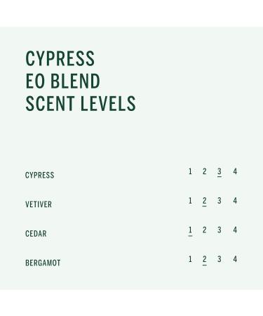 Corpus Cypress Conditioner - Vegan Cruelty-Free Non-Toxic Hair Care | 9 fl oz Made in the USA - Buy Online on GoSupps.com