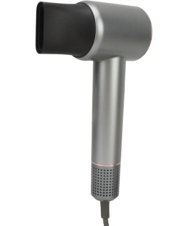 1600W Ionic Hair Dryer 110000RPM High Speed Negative Ion Hair Dryer for Home (US Plug 110V) - Buy Online on GoSupps.com