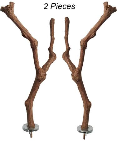 Natural Wood Bird Cage Platforms - Ockyunoo 2 Piece Set | Perfect Bird Seat Rods & Bubble Rods for Nymphensittich - Buy Online on GoSupps.com
