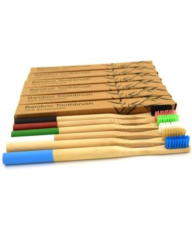 Buy Hemoton Bamboo Toothbrushes - Eco-Friendly Wooden Bristle Toothbrush for a Sustainable Smile - Buy Online on GoSupps.com