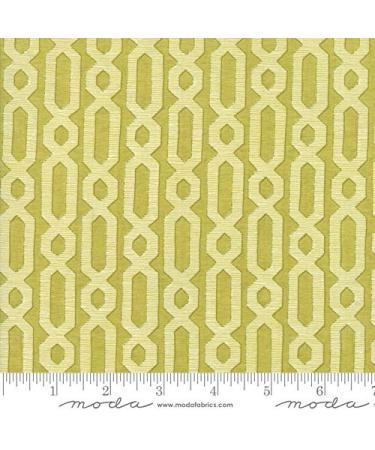 Dandi Annie by Robin Pickens Quilt Fabric Chain Lattice Leaf Style 48634/17 Yard