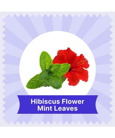 BLUE TEA - Hibiscus Mint Herbal Tea - 36 Tea Bags (Pack of 2) | CAFFEINE FREE | Hibiscus + Mint | Farm Packed Hibiscus Tea | Tin Packing - Buy Online on GoSupps.com