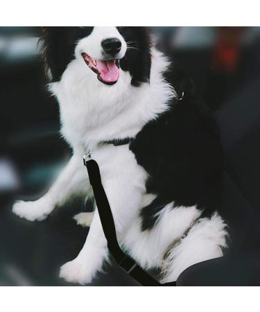 4PCS Dog Car Seat Belts Harness Cat Vehicles Safety Leads Seat Belts Clip Dog Car Restraints Harness Seatbelt Safety Belt Anti Shock Pet Seatbelt Clip for Vehicle Adjustable - Buy Online on GoSupps.com