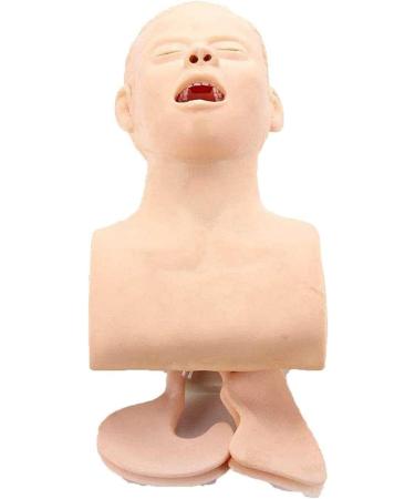 Adult Intubation Manikin for Airway Management Training | Oral Nasal Intubation Teaching Model & Conversion Kit - Buy Online on GoSupps.com