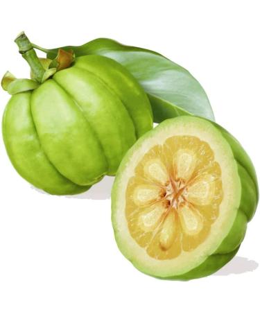 Garcinia Cambogia Capsules - Natural Whole Fruit Weight Loss Supplement - Buy Online on GoSupps.com