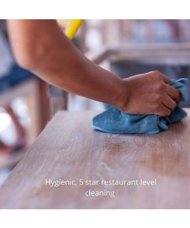 NANO GO Gastronomic Surface Cleaner - Antibacterial Food Safe Kitchen Cleaner - Alkaline Anti Bac Spray Ideal for Worktops Kitchen Sink Ovens Restaurants - 500ml - Buy Online on GoSupps.com