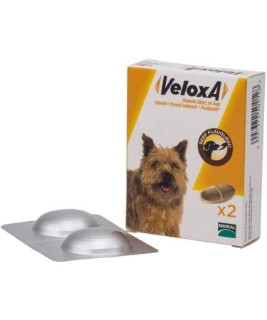 Veloxa Chewable Dog Wormer 4 Tablets - Buy Online on GoSupps.com