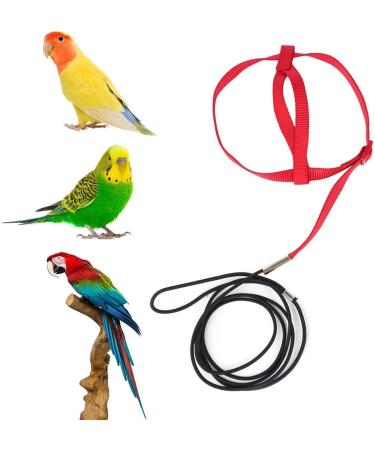 Portable 8-Shaped Bird Dishes for Small & Medium Parrots - Adjustable Parrot Flight Dishes for Lovebirds & Nymphensittiche - International Shipping Available - Buy Online on GoSupps.com