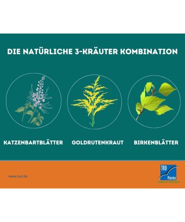 Urinary Tea TAD Supports Urinary Tract Health | 16 Sticks (1 Pack) International Shipping Available - Buy Online on GoSupps.com