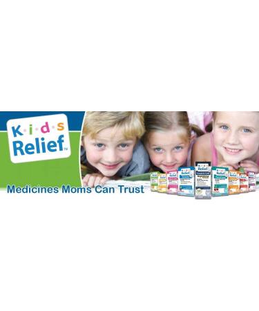 Kids Relief Pain & Fever Homeopathic Oral Liquid - 0.85 fl oz - Buy Online on GoSupps.com