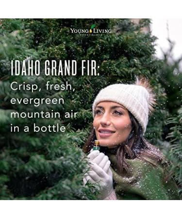 Young Living Idaho Grand Fir Essential Oil - 5 ml | Grounding Evergreen Aroma for Meditation & Well-Being | Skin Soothing & Deeper Breathing Support - Buy Online on GoSupps.com