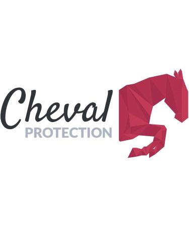 Poudre Armoricaine French Horse Poultice - Cuticura Talcum Powder Clay & Minerals - 1500g Bucket for Equine Health & Mobility - Buy Online on GoSupps.com