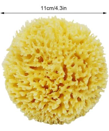 AUklOPVZZ Greek Sponge for Bathing Soft and Durable for Long Time Natural Sea Sponges for Bathing Honeycombs Natural Sea Sponge - Buy Online on GoSupps.com