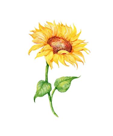 Sunflowers Temporary Tattoo Sticker Set - Waterproof Yellow Watercolor Body Art for Women - Set of 24 (SF181) - Buy Online on GoSupps.com