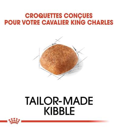 Royal Canin Cavalier King Charles Adult Dry Dog Food 1.5kg (Pack of 2) - Buy Online on GoSupps.com