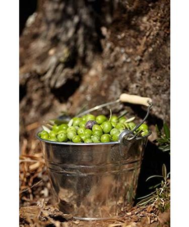 Extra Virgin Olive Oil La Chinata 500 ml - Buy Online on GoSupps.com