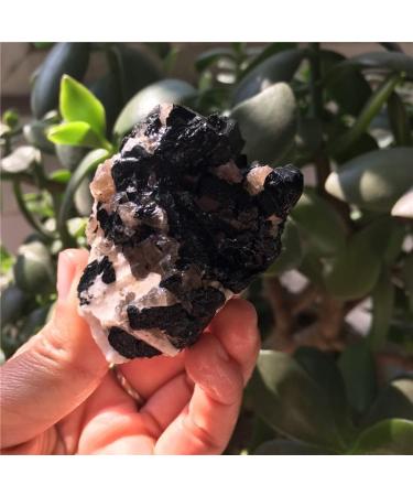 Natural Crystal Rough 1pcs Natural Black tourmarine and Crystal Specimen Reiki Healing Crystals Rough Gemstone for Home Decoration - Buy Online on GoSupps.com