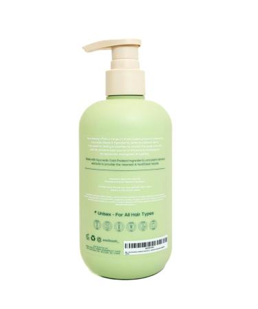 Asna Amla Boost Conditioner | Ayurvedic Scalp Hydration & Hair Thickening | Strengthening & Rejuvenating Formula with Essential Vitamins & Antioxidants - Buy Online on GoSupps.com
