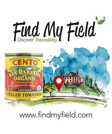 Cento San Marzano Organic Peeled Tomatoes 1.75 lb (Pack of 6) - Buy Online - Buy Online on GoSupps.com