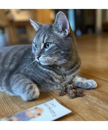 Leo Lwenkatz Matatabi Set - Dried Matatabi Fruits (30g) & 5 Catnip Sticks for Cats - Best for Cat Wellness & Play - Buy Online on GoSupps.com