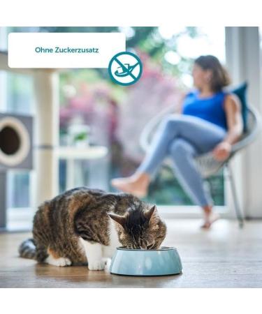 Buy Zooroyal Cat Milk 20x200ml | International Shipping | Premium Pet Nutrition - Buy Online on GoSupps.com