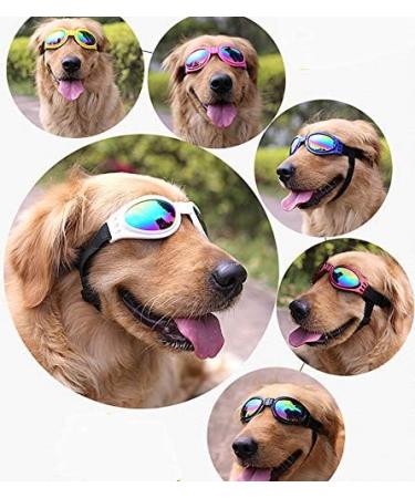 Doggles Dog Sunglasses Set of 6 - UV Protection Pet Goggles for Travel & Skiing - Buy Online on GoSupps.com