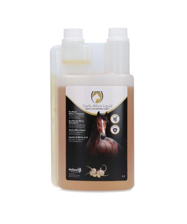 Excellent Garlic Allicin Liquid - 1l