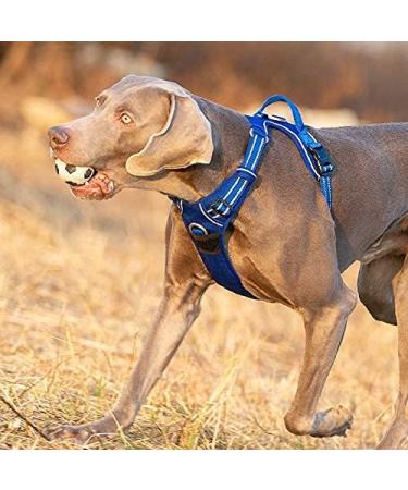 Truelove No Pull Dog Harness - Reflective Adjustable Soft Padded Vest with Handle | TLH56512 m Gray - Ideal for All Breeds - Buy Online on GoSupps.com