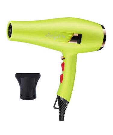 Professional Hair Dryer 2200W AC Motor Negative Ionic Technology Blow Dryer with 3 Heat & 2 Speed Setting and Cool Shot Button Nozzle Included Fast Drying Salon Hairdryer for Men and Women Small Gift