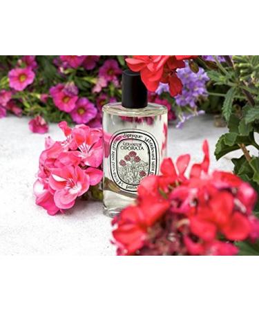 Diptyque Geranium Odorata 100 ml Lumbar Cushion color-1641 Lumbar Cushion-1641 - Buy Online on GoSupps.com