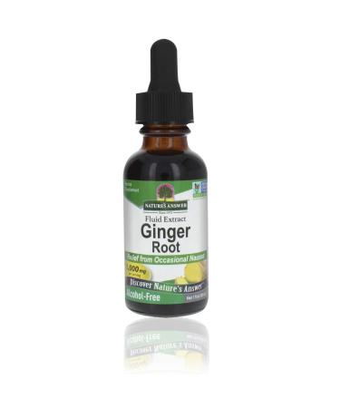 Nature's Answer Ginger Root Alcohol Free Extract 1 Ounce | Joint Pain Relief | Inflammatory Support | Helps Maintain Healthy Digestion
