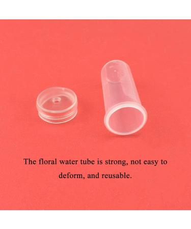 Hahiyo 60Pcs 1.6x0.7 Inch Floral Water Tubes with Silicone Caps - Fresh Flower Arrangement Supplies - Buy Online on GoSupps.com