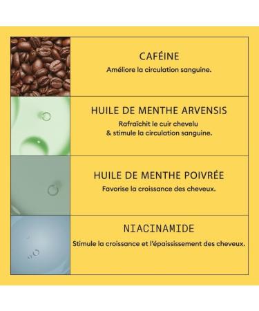 Nioxin System 1 Trial Kit for Thinning Hair Trial kit for thinning hair including shampoo conditioner and scalp treatment contents vary - Buy Online on GoSupps.com