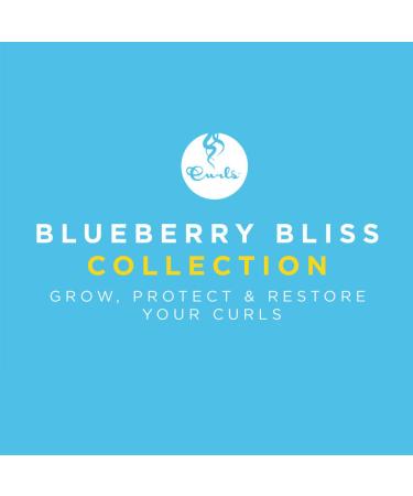 Curls Blueberry Bliss Curl Control Paste 4oz - Pack of 2 | Define & Style Your Curls - Buy Online on GoSupps.com