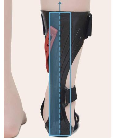 Adjustable Foot Drop Orthosis | Foot Stabilizer & Ankle Support | Large Left Size - Ideal for Sleep & Posture - Buy Online on GoSupps.com