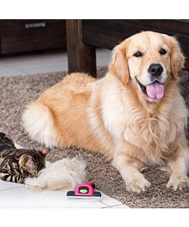 Dakpets Dog Brush | Professional Undercoat Brush for Dogs & Cats | Stainless Steel Long-Haired Pet Grooming Tool | Perfect for Pink-Loving Pet Owners - Buy Online on GoSupps.com