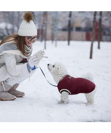 Warm & Cozy Dog Sweater | Winter Coats for Small Medium & Large Dogs | Soft Knitted Pet Outfits for Cold Weather - Buy Online on GoSupps.com