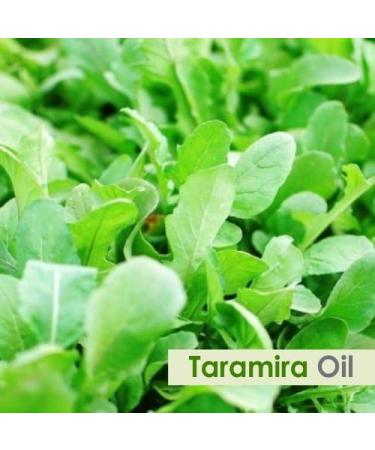 Taramira Essential Oil - Pure & Natural Eruca Sativa - Undiluted Aromatherapy Oil - Therapeutic Grade - 50ML - International Shipping Available - Buy Online on GoSupps.com