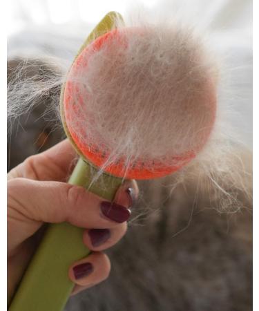 Cat Brush for Long & Short Hair 1-Click Self-Cleaning Tool for Effortless Pet Hair Removal - Buy Online on GoSupps.com