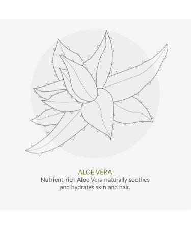Green People Organic Children Scent Free Sun Cream SPF30 150ml | Natural Organic Sunscreen for Kids | Eczema Friendly | Sensitive Skin | Prickly Heat Protection | Easy to Apply | Babies Toddlers Children - Buy Online on GoSupps.com