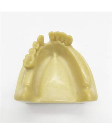 Fhuili Teeth Implant Model - Realistic Dental Simulation for Practice & Education | Lower Half Teeth Demonstration Model - Buy Online on GoSupps.com
