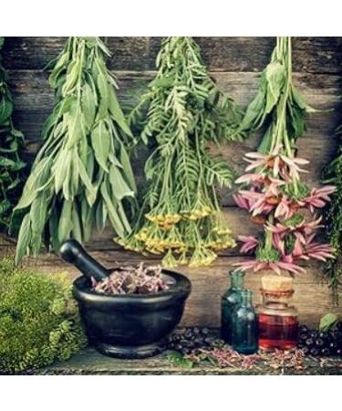 NaturaAnswer's YarowAntenna 30 ml - Buy Online on GoSupps.com