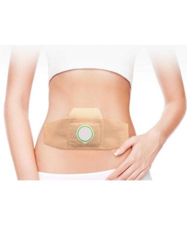 FARUTA 5pcs Moxibustion Patch Self Heating Moxa Sticker Wormwood Spontaneous Heat Sticker Warm Foot Pads Chinese Medicine Herbal Paste for Cervical Neck Knee Pain Belly - Buy Online on GoSupps.com