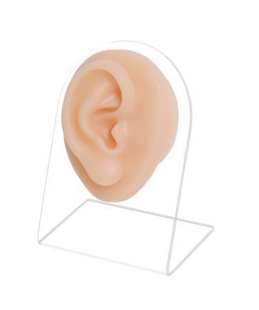 Soft Silicone Ear Model Right with Acrylic Stand Flexible Ear Model for Practicing Suture Piercing Practice Jewely Displays Right Ear