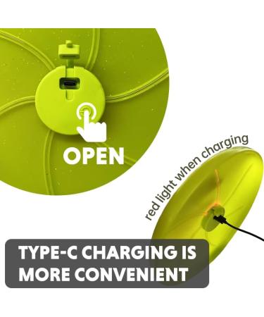 LED Dog Flying Disc - 25 cm Luminous Frisbee for Training & Play | International Shipping - Buy Online on GoSupps.com